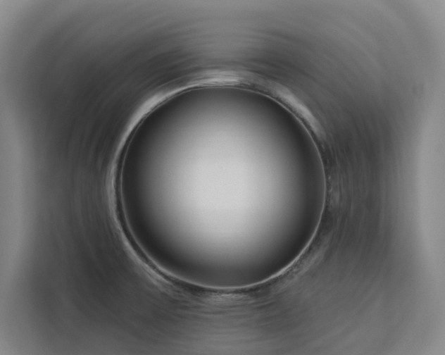 X0000112941475200908311439