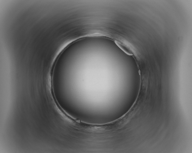 X0000112941476200908311439