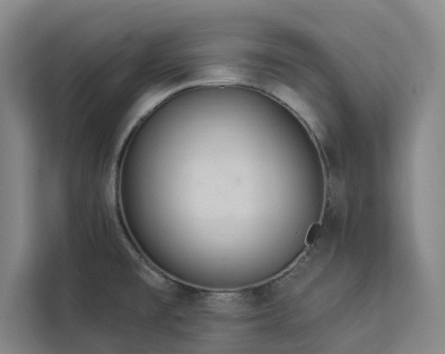 X0000112941477200908311439