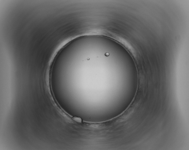 X0000112941480200908311439