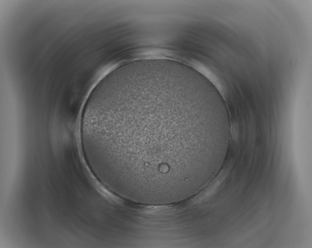 X0000112941482200908311439
