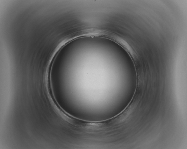 X0000112941483200908311439