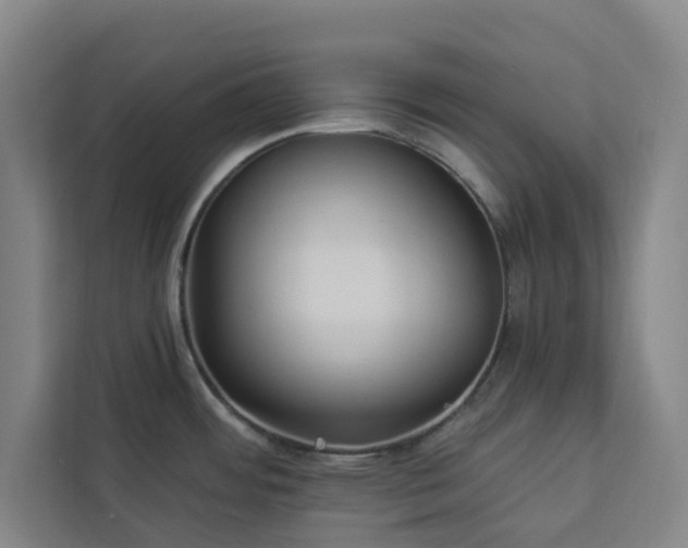 X0000112941484200908311439