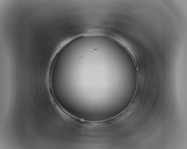 X0000112941485200908311439