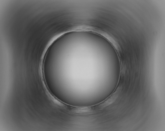 X0000112941486200908311439