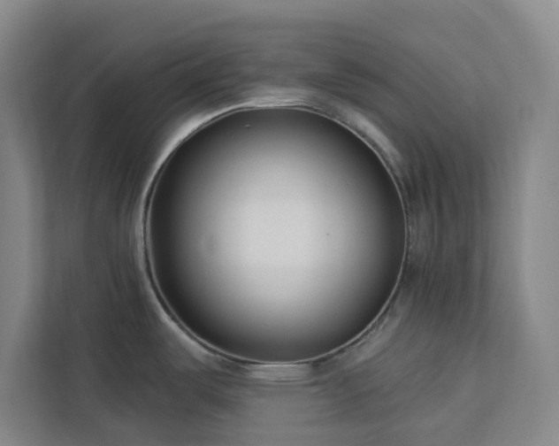 X0000112941487200908311439