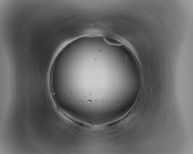 X0000112941488200908311439