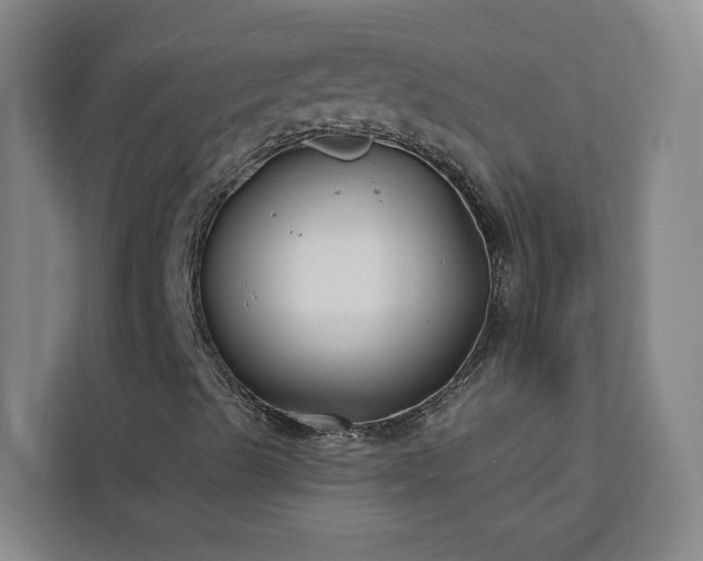 X0000112941489200908311438