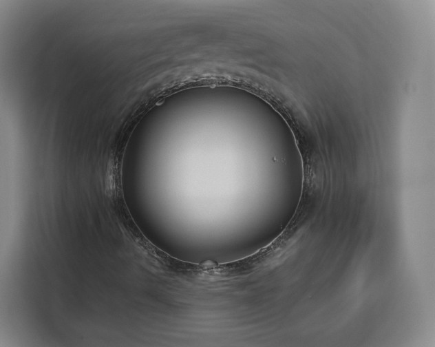 X0000112941490200908311438