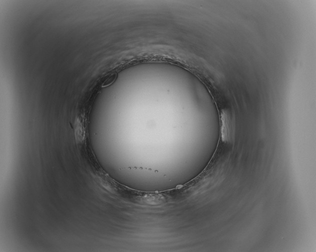 X0000112941491200908311438