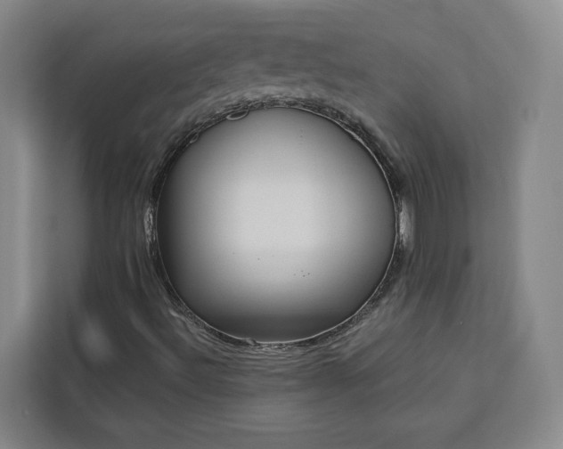 X0000112941492200908311438