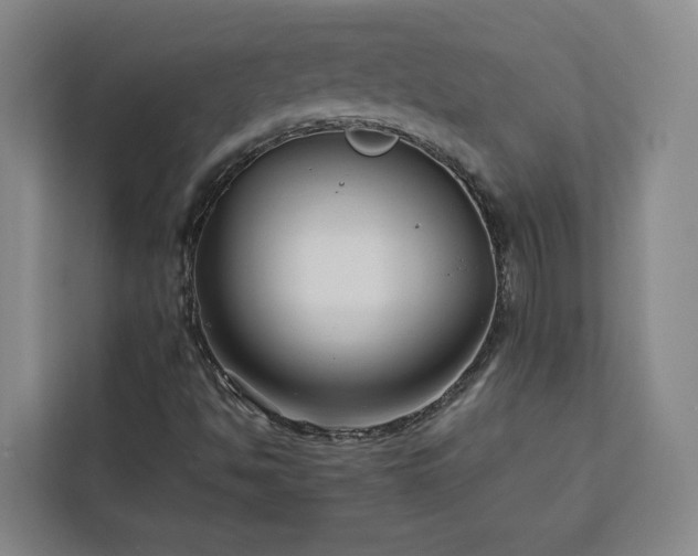 X0000112941494200908311438