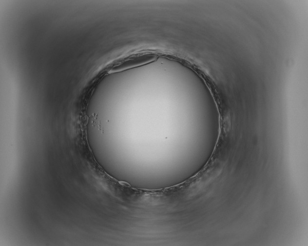 X0000112941496200908311438