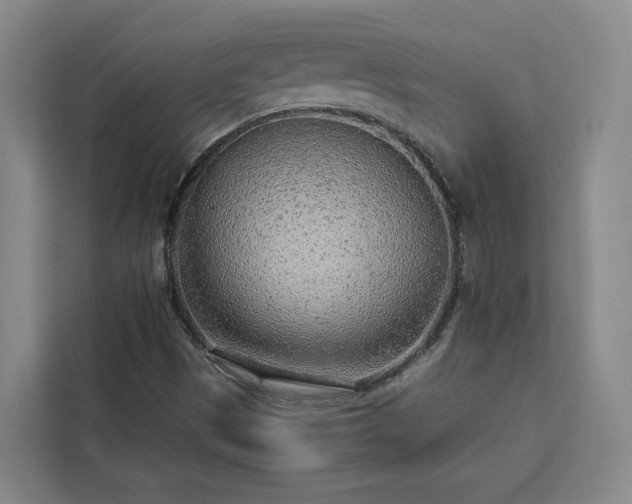 X0000112941497200908311438