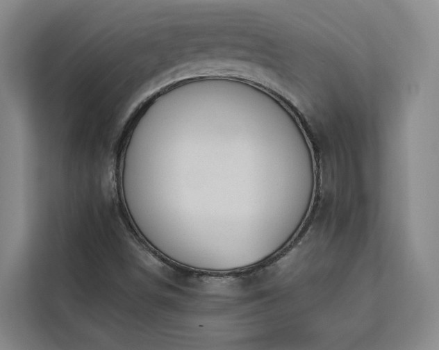 X0000112941498200908311438