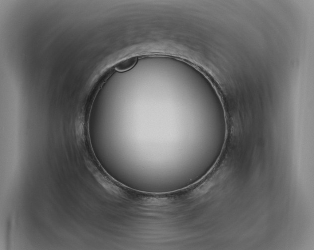 X0000112941499200908311438