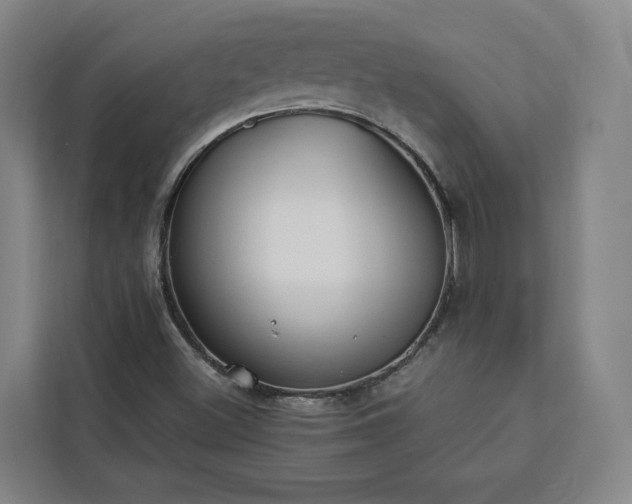 X0000112941500200908311438