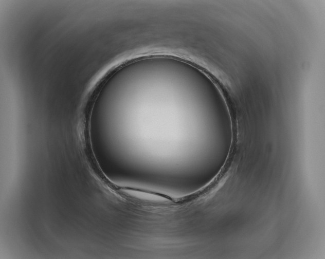 X0000112941502200908311438