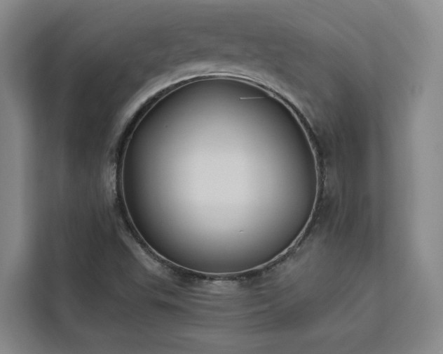 X0000112941503200908311438