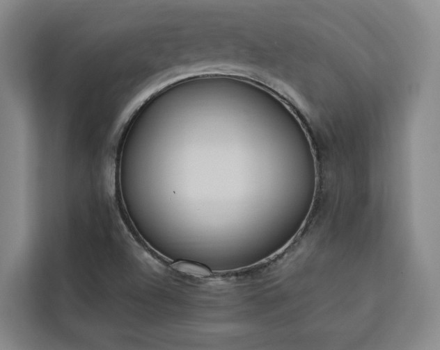 X0000112941504200908311438