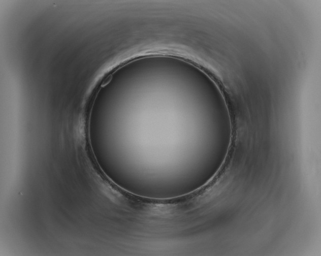 X0000112941506200908311438