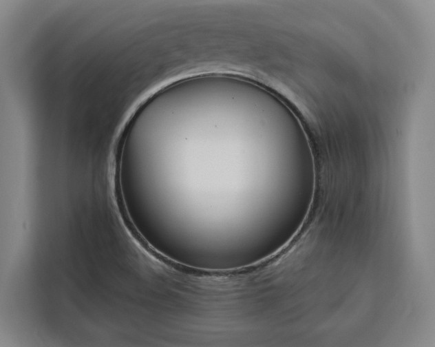 X0000112941508200908311438