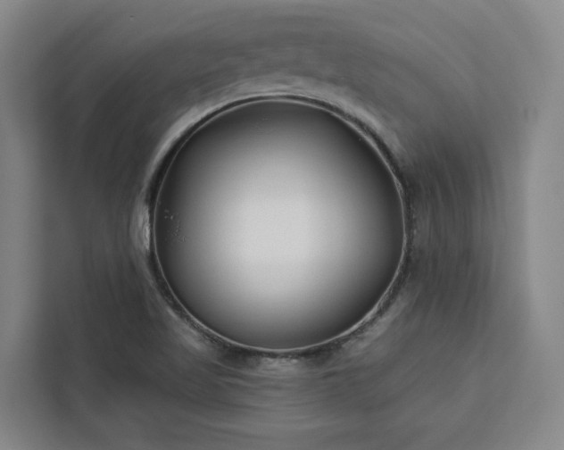 X0000112941509200908311438