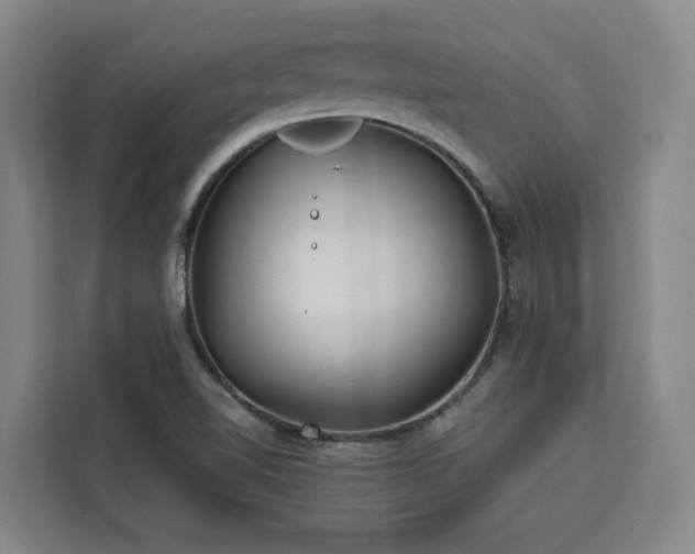 X0000112941510200908311438