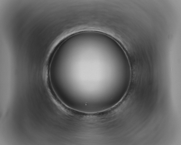 X0000112941511200908311438