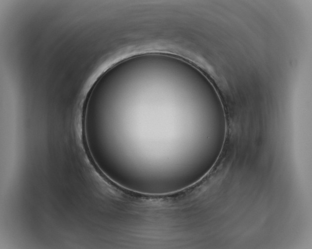 X0000112941512200908311438