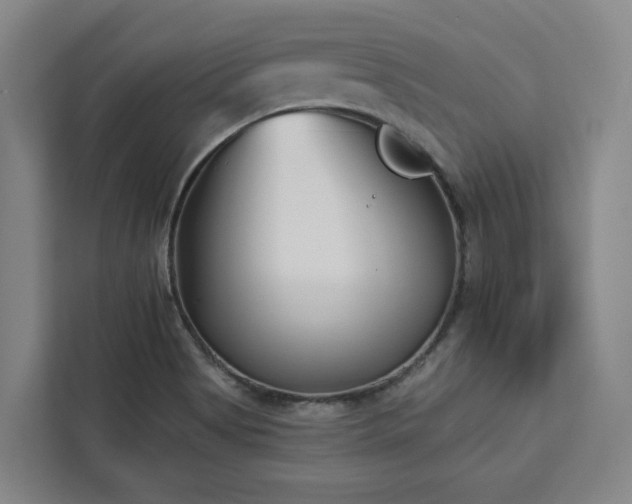 X0000112941513200908311438