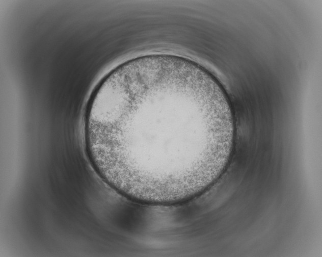 X0000112941514200908311438