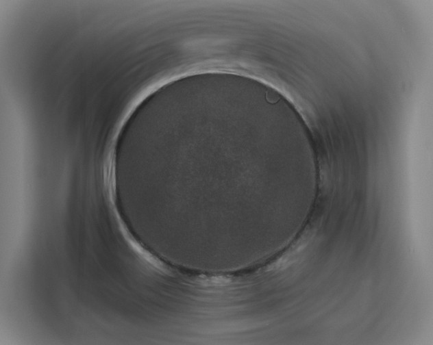 X0000112941515200908311438