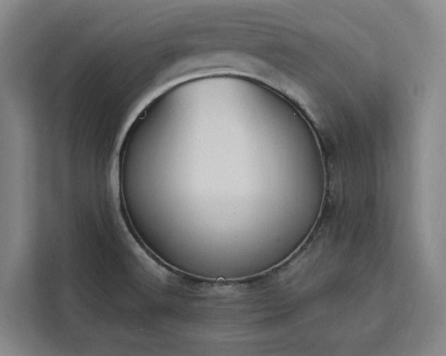 X0000112941516200908311438