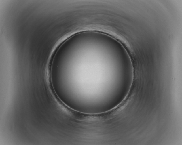 X0000112941517200908311438