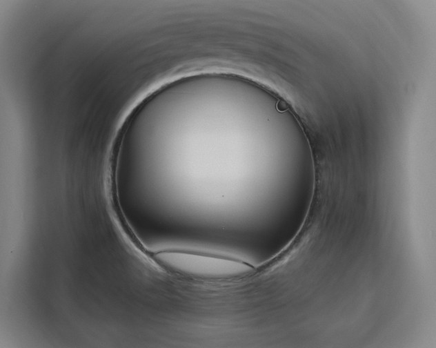 X0000112941518200908311438