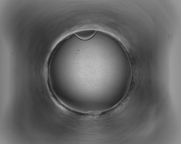 X0000112941519200908311439