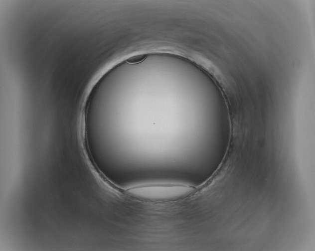 X0000112941520200908311439