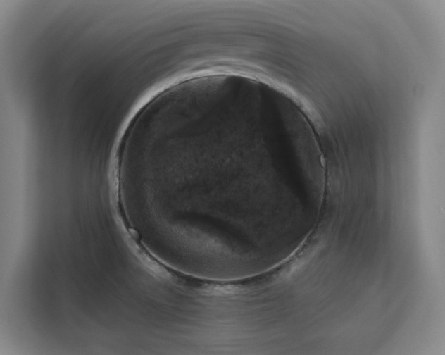 X0000112941522200908311439