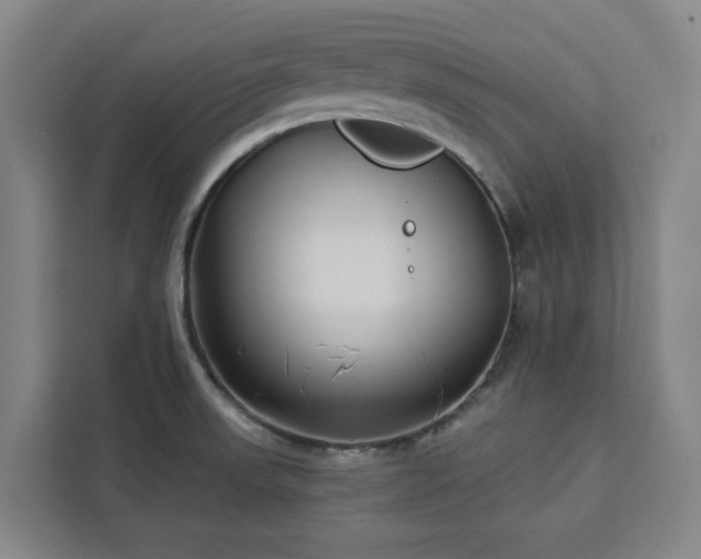 X0000112941523200908311439