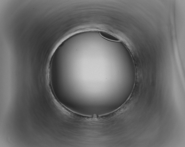 X0000112941524200908311439