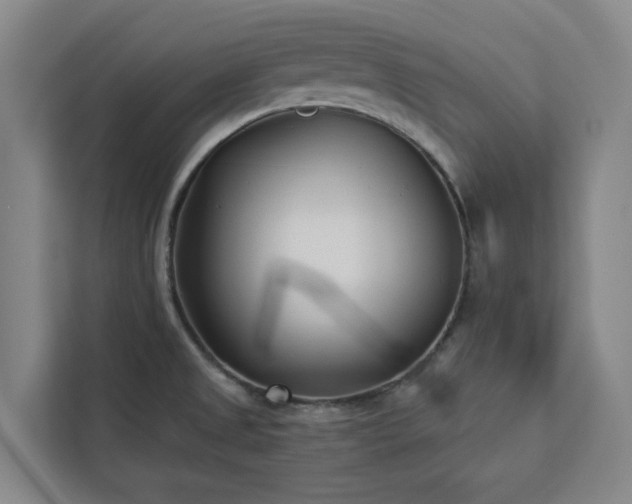 X0000112941525200908311439