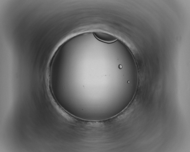 X0000112941526200908311439