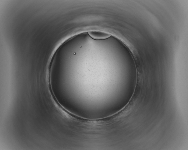 X0000112941527200908311439