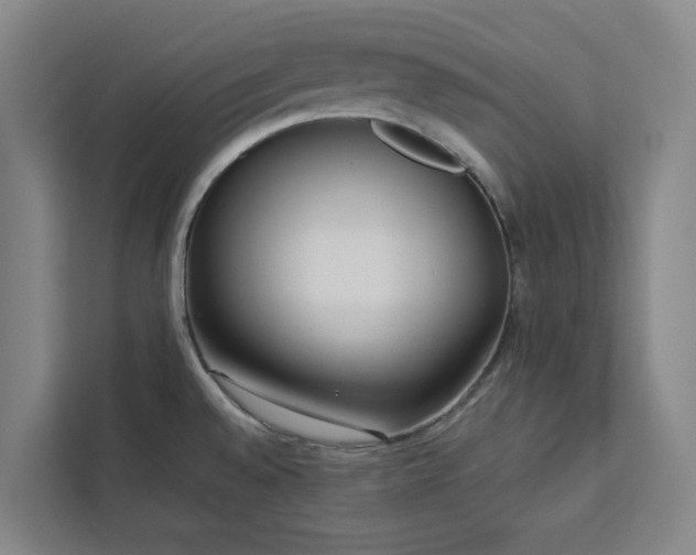 X0000112941528200908311439