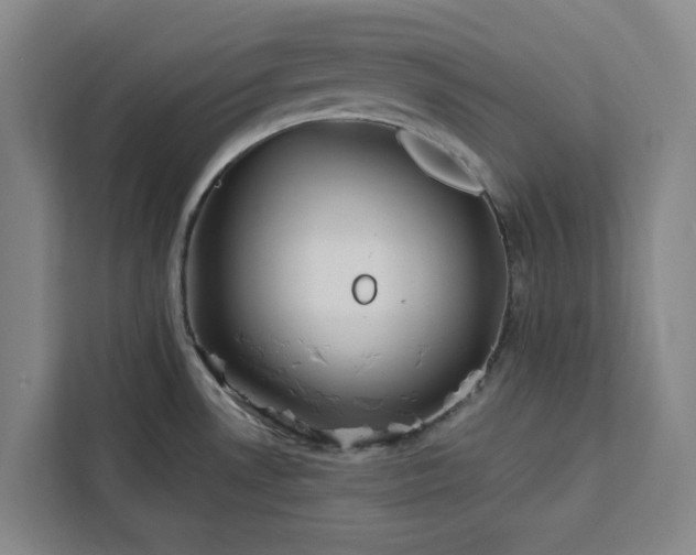 X0000112941530200908311439