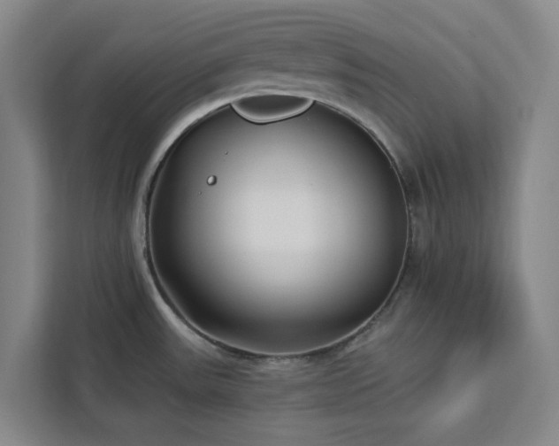 X0000112941531200908311439