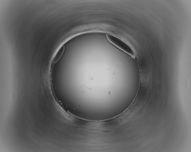 X0000112941532200908311439