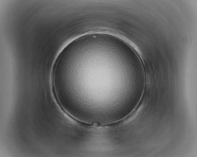 X0000112941533200908311439