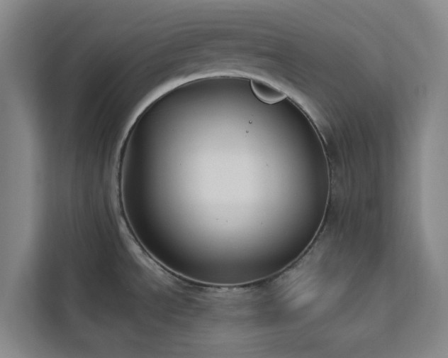 X0000112941534200908311439